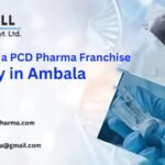 How to Start a PCD Pharma Franchise Company in Ambala in Easy Steps?