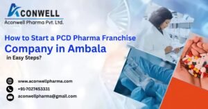How to Start a PCD Pharma Franchise Company in Ambala in Easy Steps?