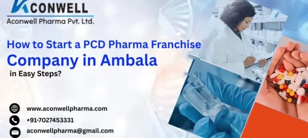 How to Start a PCD Pharma Franchise Company in Ambala in Easy Steps?